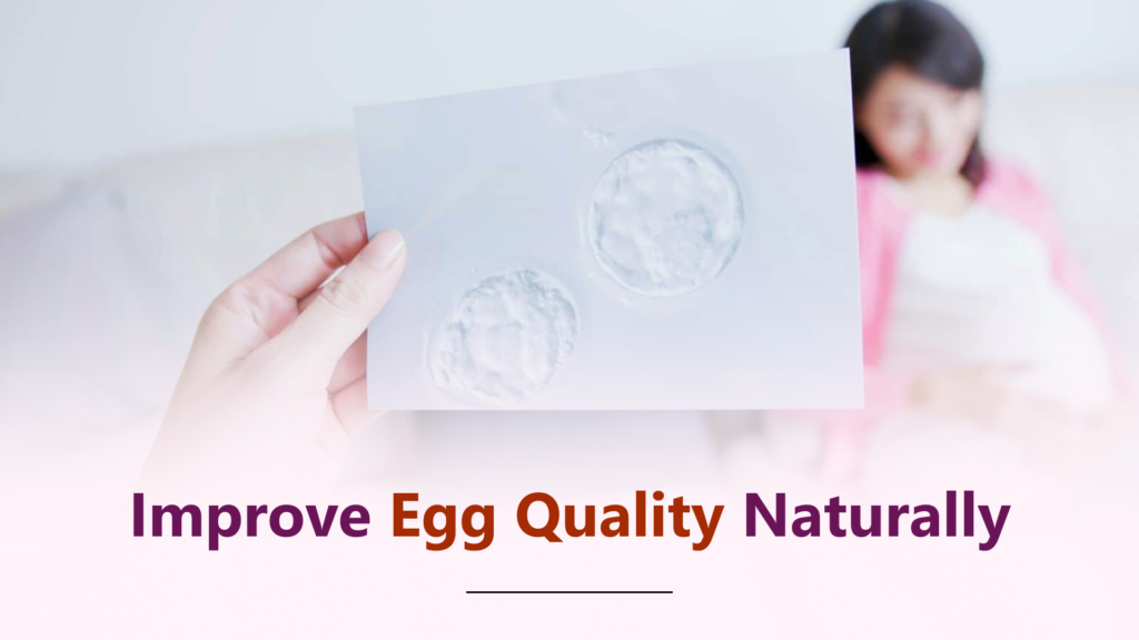 What Is Egg Quality and Can You Improve It Naturally?