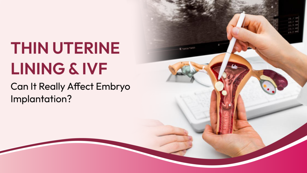 Thin Endometrium and IVF Failure: Can the Uterine Lining Affect Embryo Implantation?